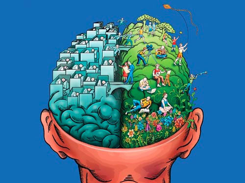 Illustration of the difference between the analytical left-brain and creative thinking right-brain.